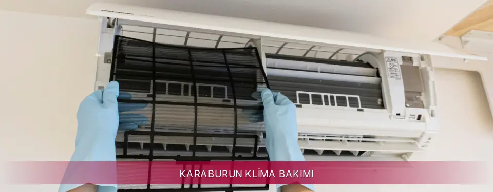 Karaburun İlçemi LG Klima Bakımı